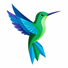 Green And Blue Hummingbird Illustration On White Background