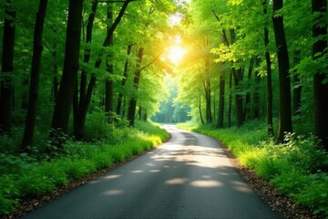 Obraz premium Sunlit Path Through a Verdant Forest Canopy, Winding Road Beckoning the Adventurous Soul