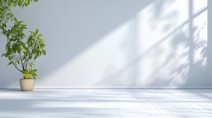 Fototapeta premium Empty room, sunlit, minimalist, bright, modern. Sunlight casts shadows on clean white walls and floor. Living space features a small potted plant