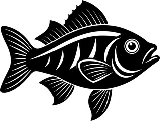 fish on a white background