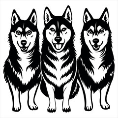 Russian Husky Dog Silhouette Vector Image