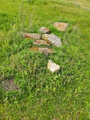 A small wooden bridge in a grassy area
