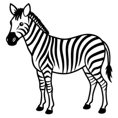 Abstract Zebra Line Illustration