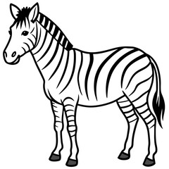 Abstract Zebra Line Illustration