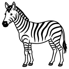 Abstract Zebra Line Illustration