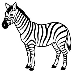 Abstract Zebra Line Illustration