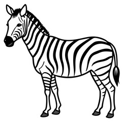Abstract Zebra Line Illustration