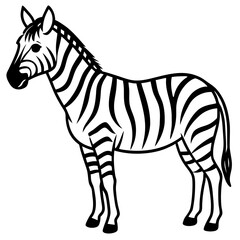Abstract Zebra Line Illustration