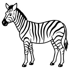 Abstract Zebra Line Illustration