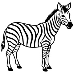 Abstract Zebra Line Illustration