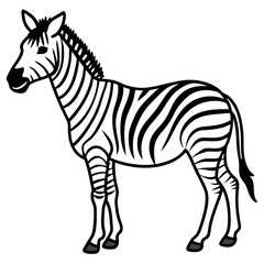 Abstract Zebra Line Illustration