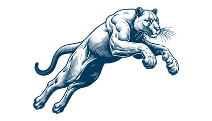 Obraz premium puma vector