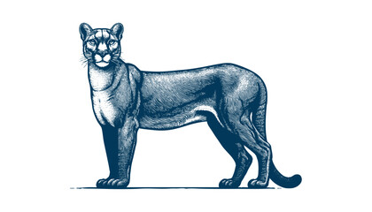 Fototapeta premium puma vector