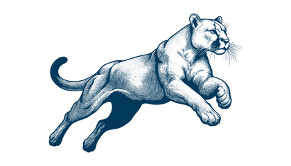 Obraz premium puma vector