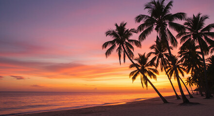 Obraz premium Sunset Over Coconut Grove and Ocean Horizon