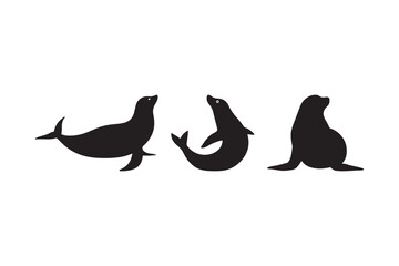 Seal Silhouette Vector Set Marine Animal Clipart Collection