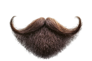 Detailed facial hair. Brown, bushy beard and curled mustache, isolated against a stark transparent background