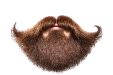 Ornate, detailed mustache and beard combination on a transparent background