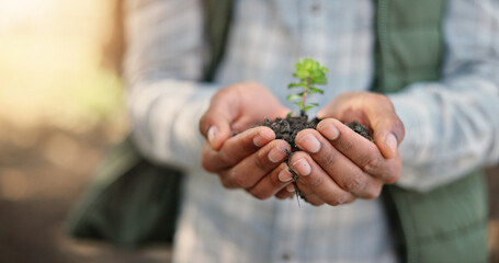 Closeup, hands and plant with soil for growth, sustainability and eco friendly for earth day. Agriculture, farmer and person with green leave for support, accountability and organic farming in nature