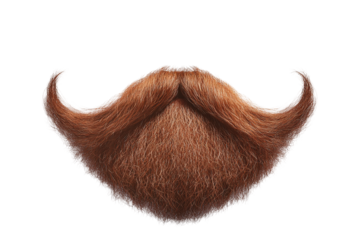 Detailed red-brown beard with curled mustache tips on transparent background. Bushy, textured facial hair, central focus, clean