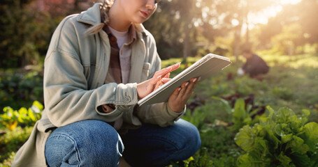 Farm, tablet and typing with hands of woman in nature for environment, plant field research or crop yield forecast. Sustainability, growth or agriculture with person in countryside for soil ph sensor