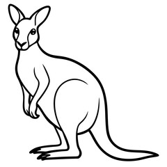 Elegant Kangaroo Line Art – Black & White Vector