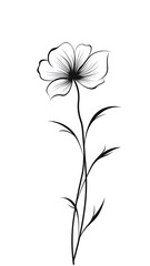 Black flower on white background. Black and white elegant minimalist floral linear illustration
