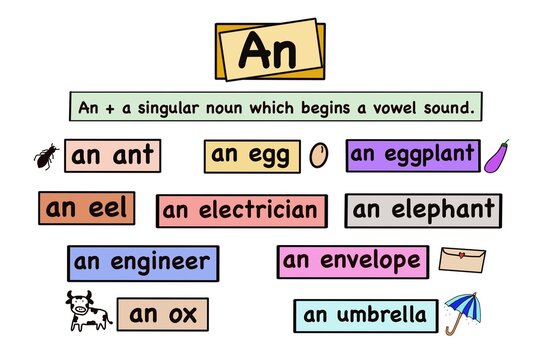 Hand drawn picture of word cards about article An. Illustration for education. Concept English grammar
teaching. Singular noun vocabulary , beginning with vowel sound. Educational materials for kids 