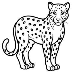 Leopard Line Art Vector on White