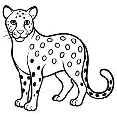 Leopard Line Art Vector on White