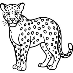 Leopard Line Art Vector on White
