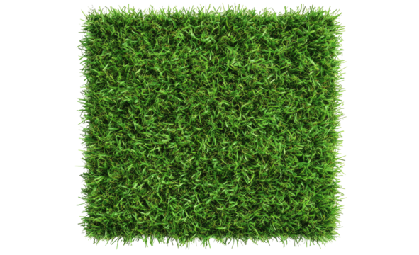 Artificial grass texture