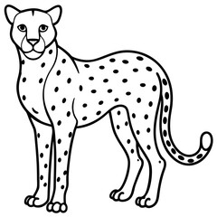Cheetah Line Art Vector on White