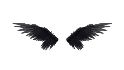 Angel Wings, Devil Wings, Wings Use White Background