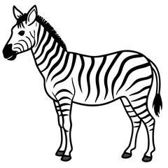 Zebra Line Art Vector
