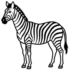 Zebra Line Art Vector