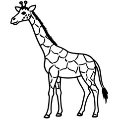 Minimal Giraffe Line Art – Black on White Vector