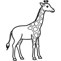 Minimal Giraffe Line Art – Black on White Vector