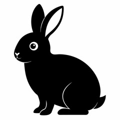 rabbit vector illustration