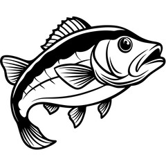 vector illustration of a fish