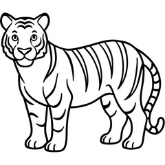 Tiger Line Art Vector on White