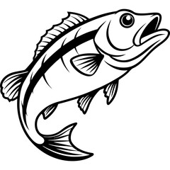 vector illustration of a fish