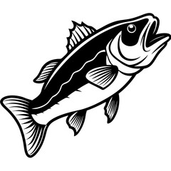 vector illustration of a fish