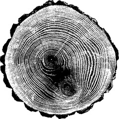 Large vector tree rings texture with a transparent background