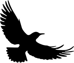 eagle vector illustration