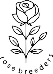 Rose line art illustration vector. Plant nursery breeders shop flowers. Suitable branding wedding invitations botanical art. Minimalist style line drawing white background