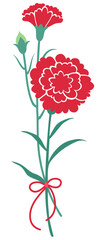 Carnation 