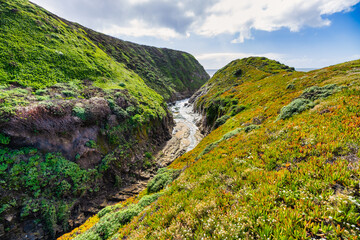 Davenport Beach, also known as Shark Tooth Beach by the locals, located in Davenport California. Davenport is a favorite tourist stop along the coast.