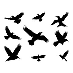 birds silhouette icons set 