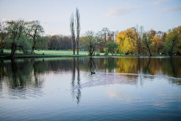 A beautiful spring atmosphere, a beautiful lake in the middle of nature.